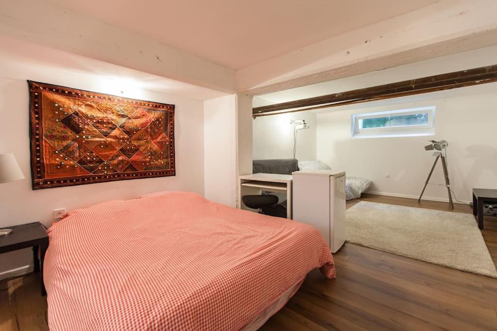 R-Appartements Strasbourg Cosy Orangerie Pour Vos Sejours En Famille Ou Entre Amis Exteriér fotografie
